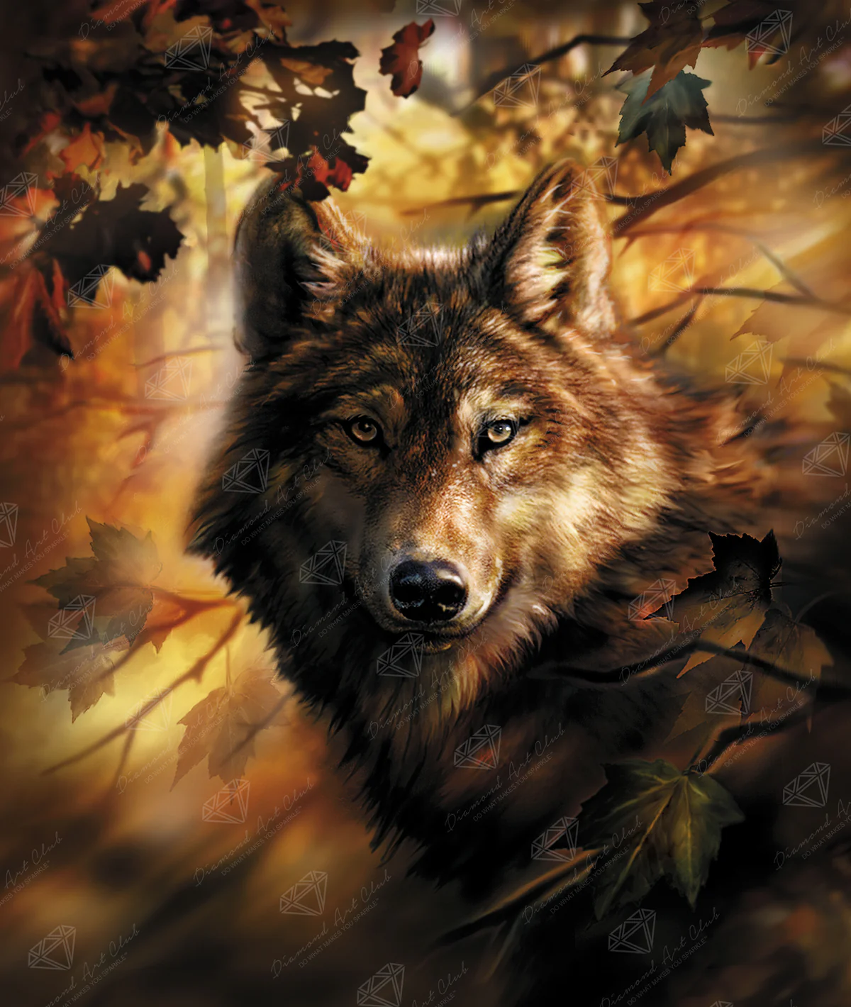 Enhancement Suggestions for Evening Glow Wolf by Tami Alba and DAC – SQ