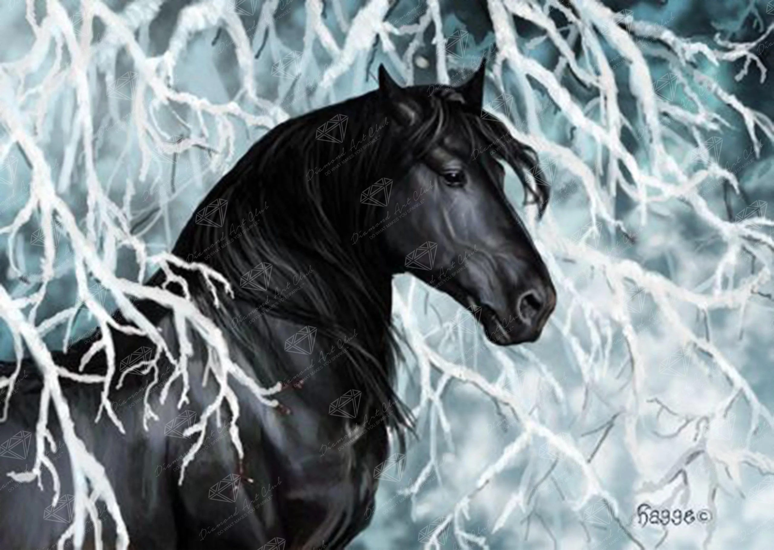 Enhancement Suggestions for Black and White by Deborah Lewis and DAC – RD