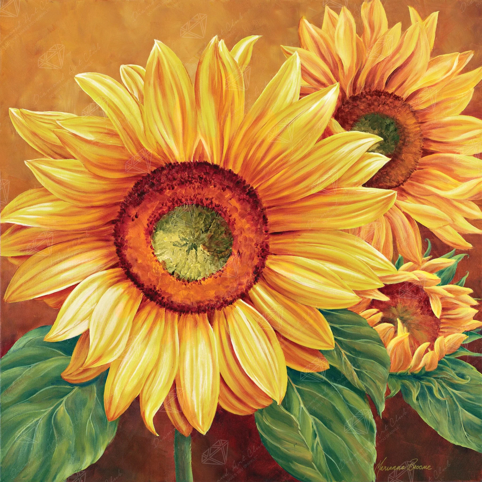 Enhancement Suggestions for We Are Sun by Marianne Broome and DAC - RD