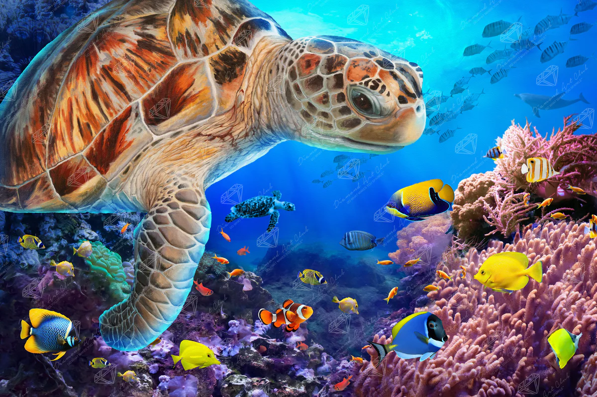 Enhancement Suggestions for Sea Turtle Fantasy By Jim Todd and DAC - SQ