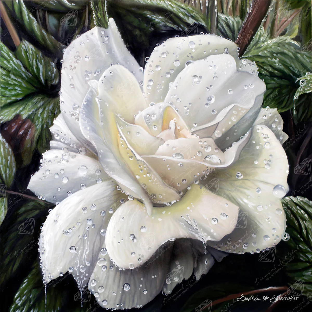 Enhancement Suggestions for Rainy Rose by Dakota Daetwiler and DAC – SQ
